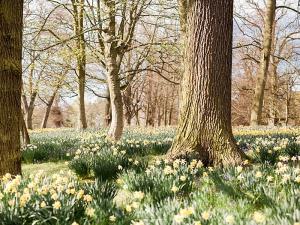 Dorfold Hall, Wedding Venue Cheshire